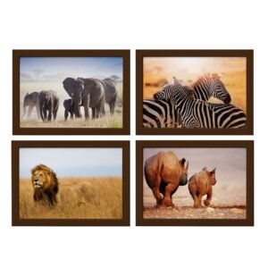 Quadros Animais Safari para Sala Moldura Marrom 22x32cm 4un