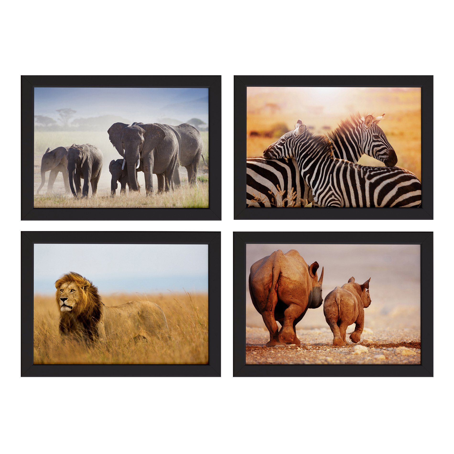 Quadros Animais Safari para Sala Moldura Preta 33x43cm 4un