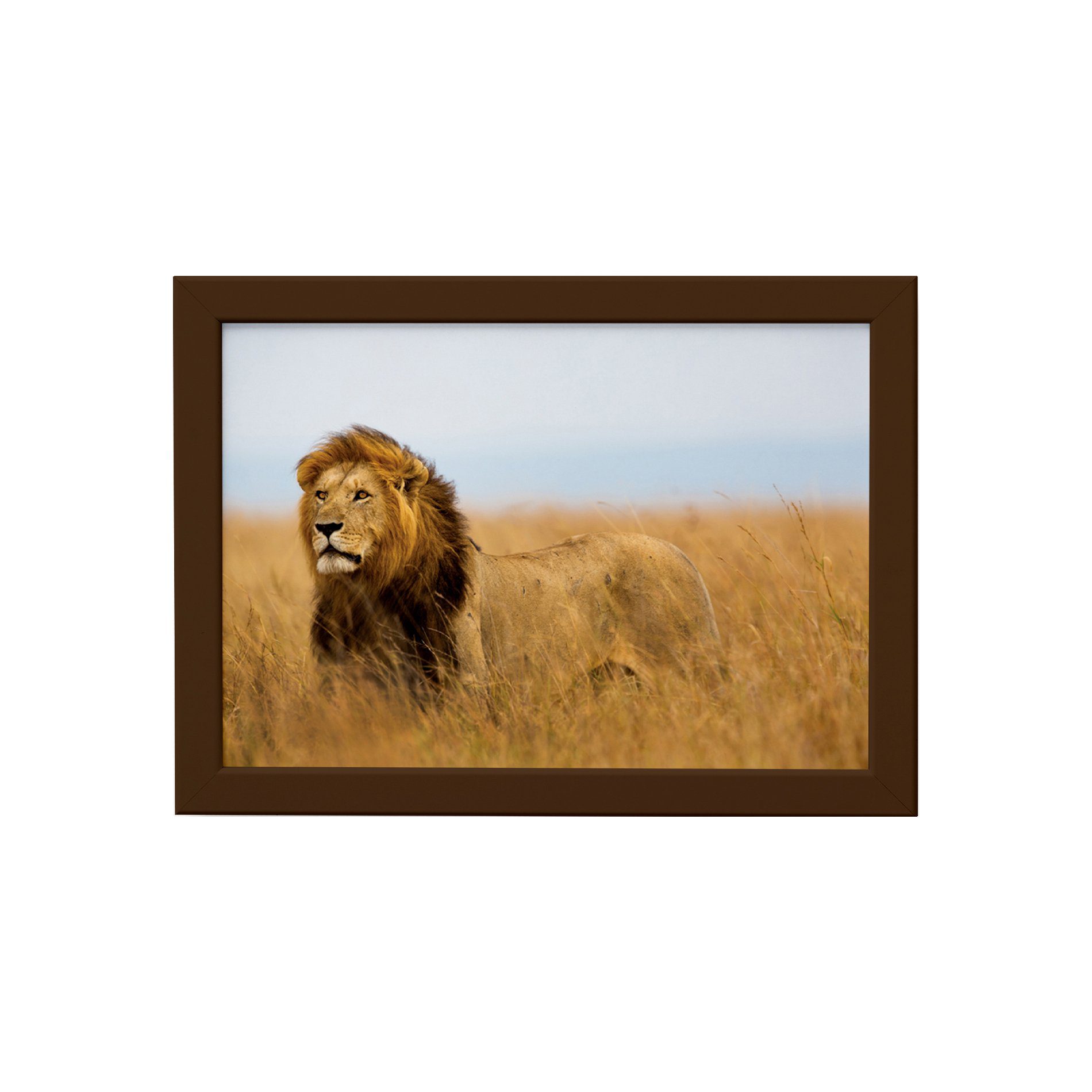Quadro para Sala Foto Safari Leão Moldura Marrom