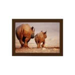 Quadro para Sala Foto Safari Rinoceronte Moldura Marrom 22x32cm