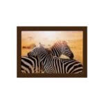 Quadro para Sala Foto Safari Zebra Moldura Marrom 22x32cm