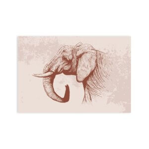 Placa Decorativa MDF Safari Elefante 30x40cm