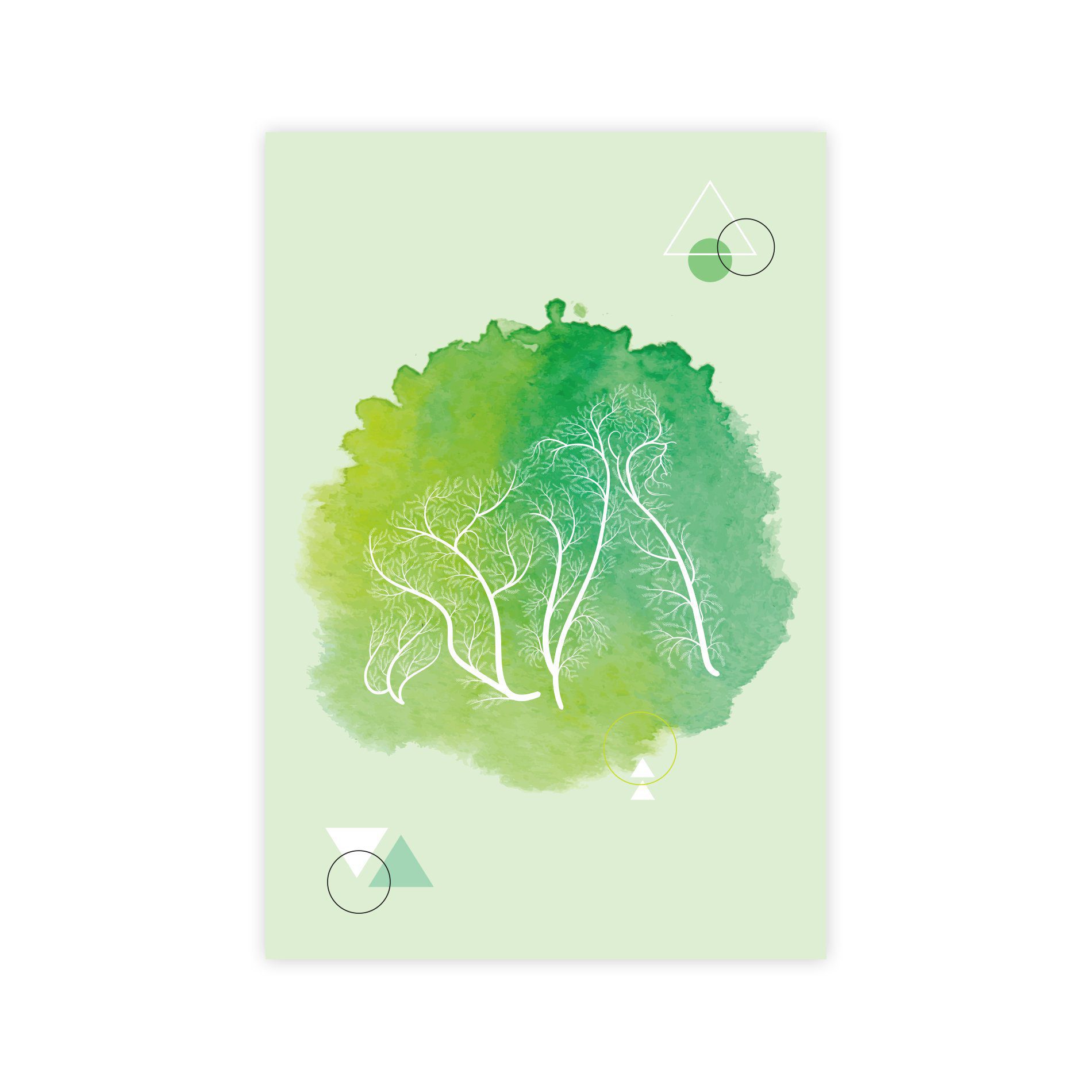 Placa Decoração Minimalista Safari Gorila Verde 30x40cm