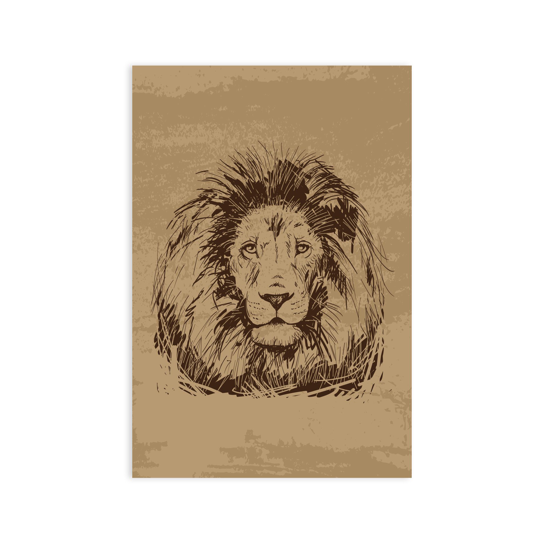 Placa Decorativa MDF Safari Leão 20x30cm 