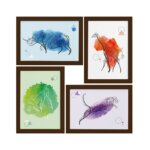 Quadros Decoração Minimalista Animais Safari Moldura Marrom 22x32cm 4un