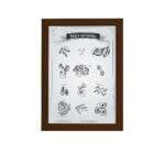 Quadro Cozinha Massas Italianas Escolha Moldura Marrom 33x43