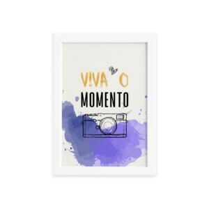 viva_o_momento_fb_br.jpg